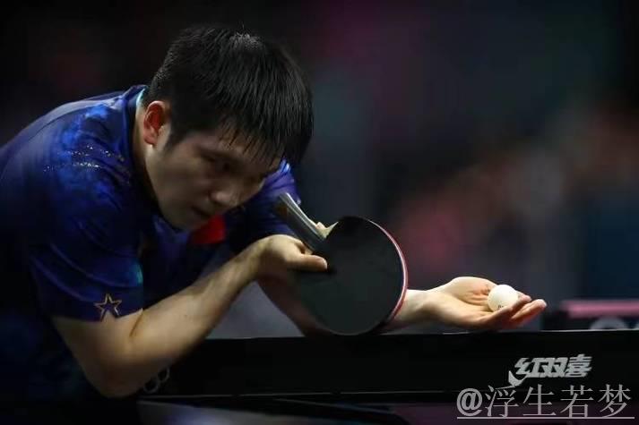 张本智和难得一笑！赛后用中文发言引欢呼，再次提及樊振东