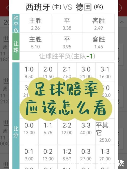 世界杯竞猜赔率解析：如何读懂数据